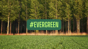 The Beginner's Guide to Creating Evergreen Content with 5 Examples