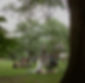 H+A Sneaks-6_edited.jpg
