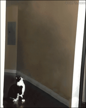 source.gif