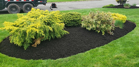 Mulch Installation.jpg