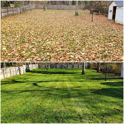 Fall Clean Up.jpg