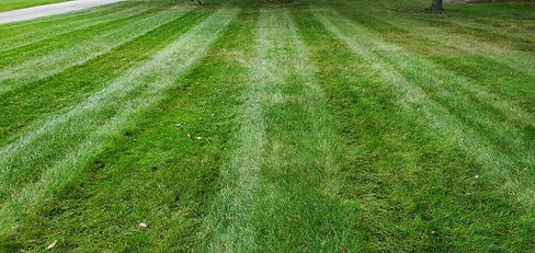 Lawn Mowing Stripes.jpg