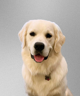 Untitled design (3)_edited.jpg