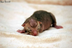 Facebook - First boy - b 24