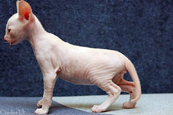 Facebook - 35 days.jpg