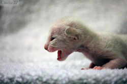 Facebook - 10 days female.jpg