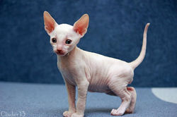 Facebook - 35 days.jpg