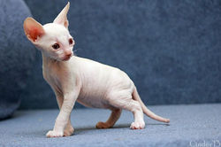 Facebook - 35 days.jpg