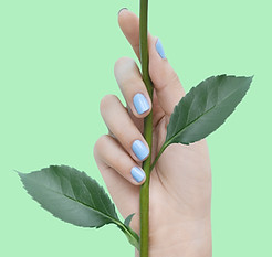 Azul Nails en verde