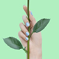 Blue Nails on Green
