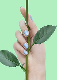 Blue Nails on Green