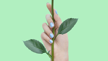 A set of Bio Sculpture Gels in Party Blue colour contrast with a rose