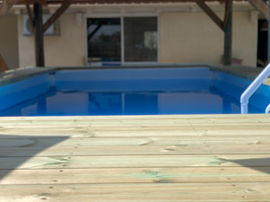IMG_2110.jpeg