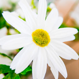 Jane And Jeff's 40th Anniversary-006.jpg