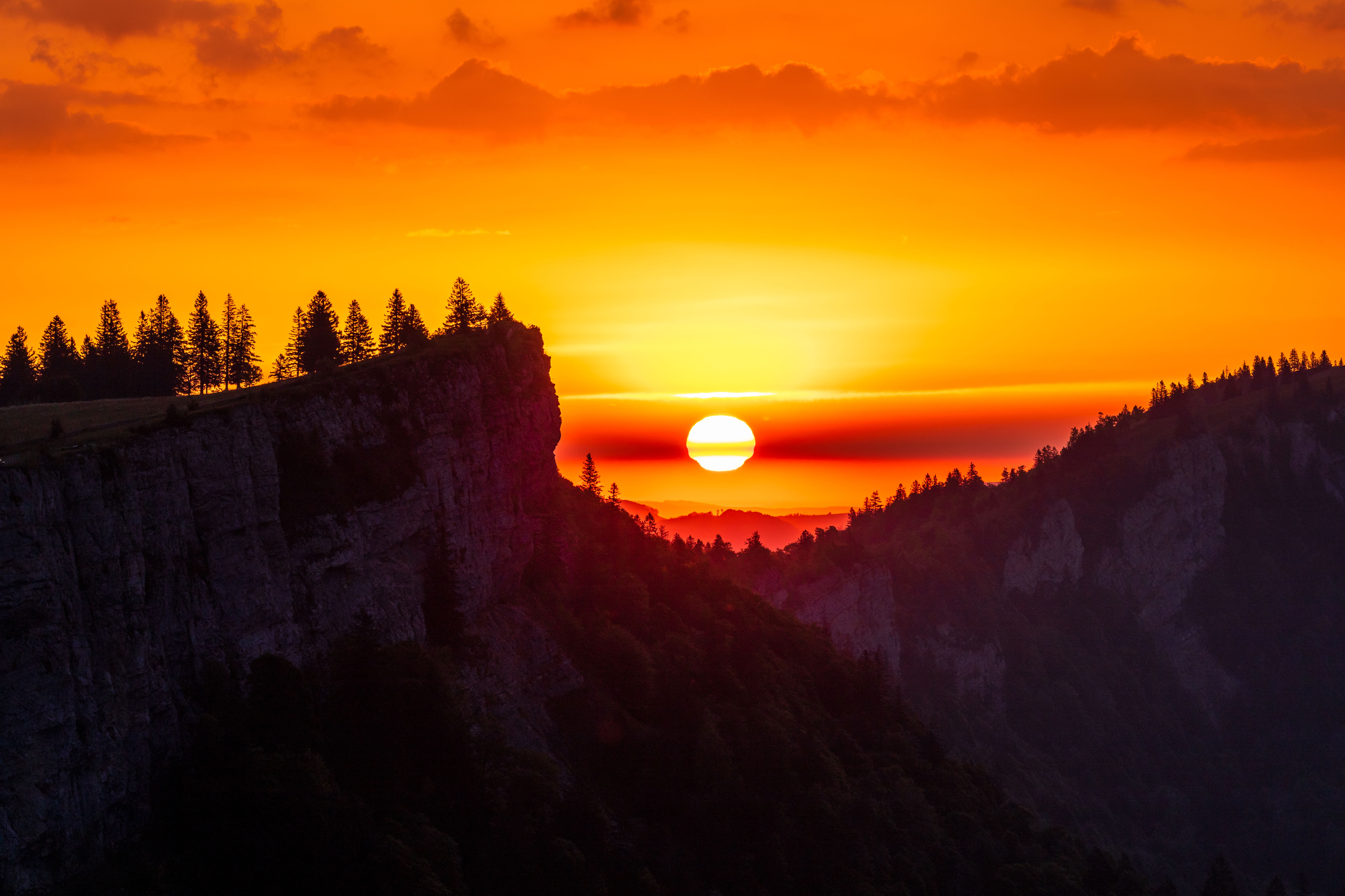 Grusskarte A6 - Goldener Ball