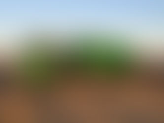 Expert Mechanical Repairs Showcased: Past Projects Highlighted