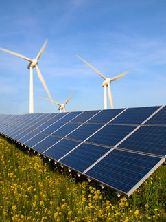 Native Vegetation Is Redefining Rural Solar Projects Cutting Costs, Boosting Performance and Winning Local Support