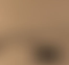 Il Modello Bio-Psico-Sociale. Capire La Salute a 360 Gradi