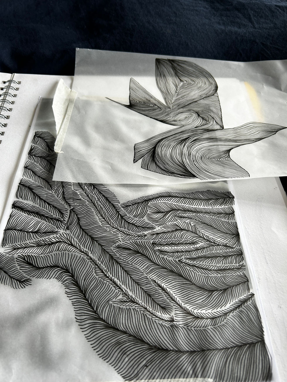 Visual research- A fine line linear distorted drawing experimenting with form
