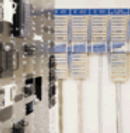Information Technology Sector