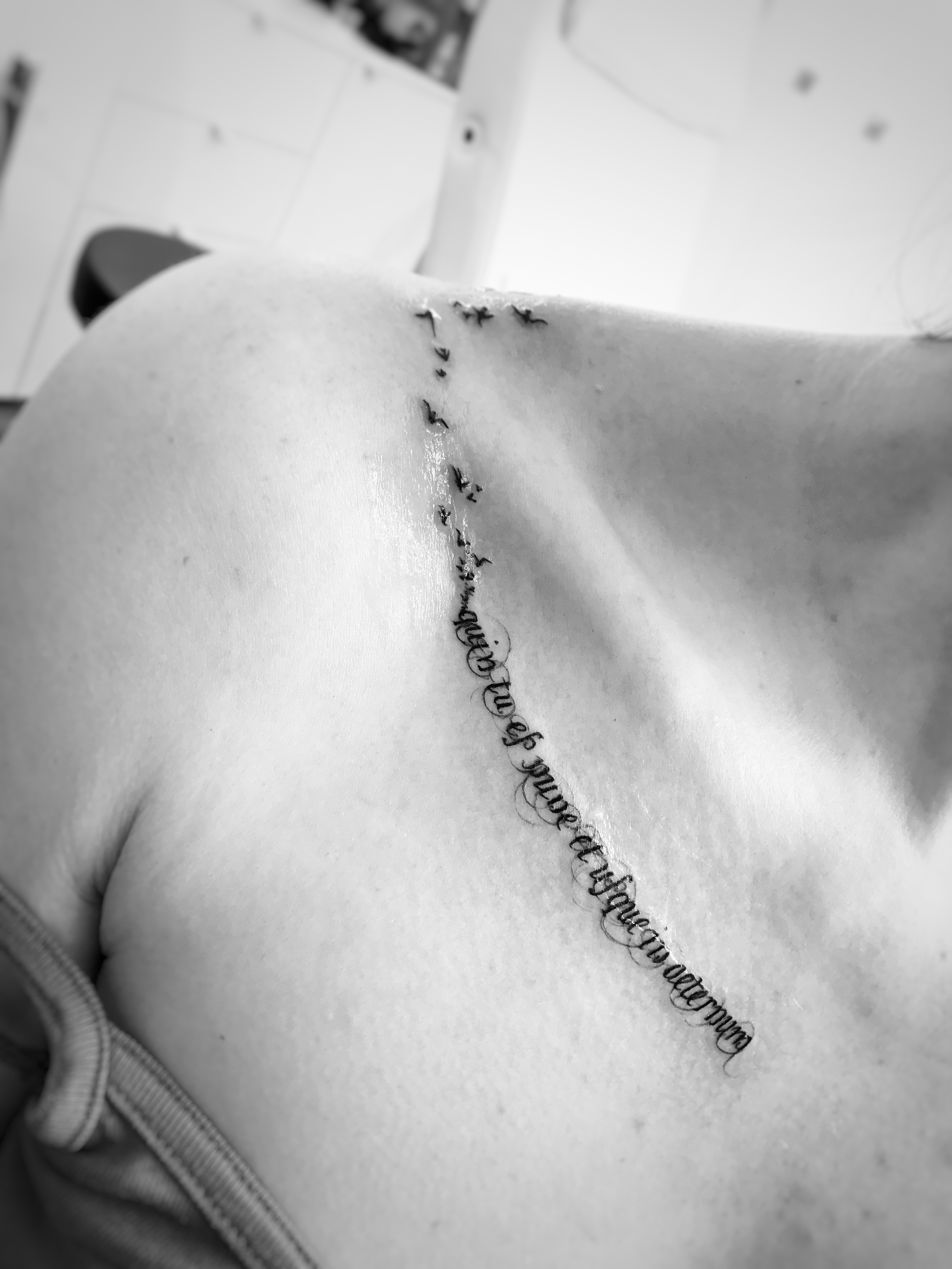 TATOUAGE PHRASE LATIN