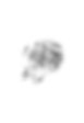 orphans-solitudes_04_OGpx.jpg