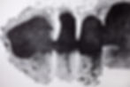 ART IMPRIMÉ‏‏‎ ‎