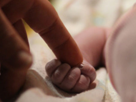 Don’t Eat The Placenta In The Fridge