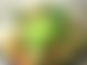 Peach Cucumber Salad