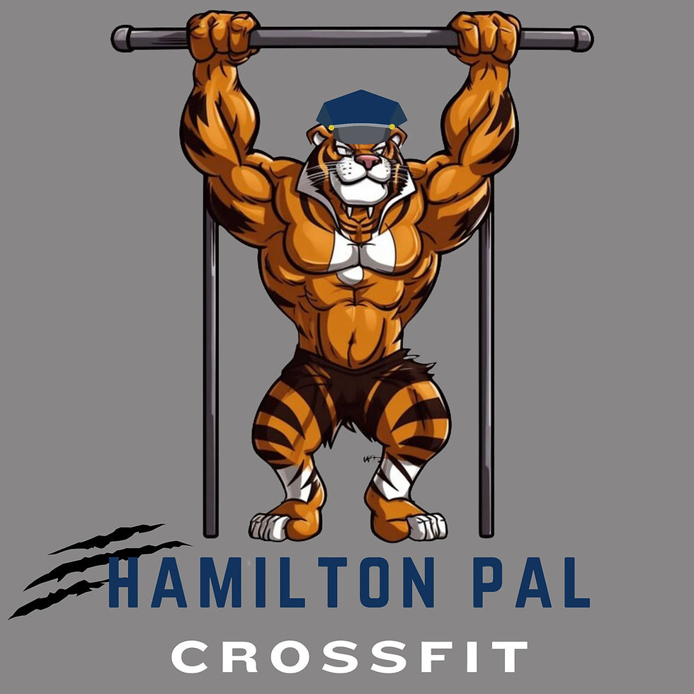 Thumbnail: Hamilton PAL CrossFit Tee (N6210)
