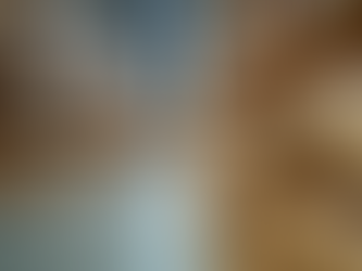 Top Bulk Seed Suppliers in Texas for Bulk Seed Sourcing Texas