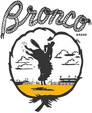 Bronco Logo