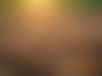 Bronco Seed Insights: What You Should Know