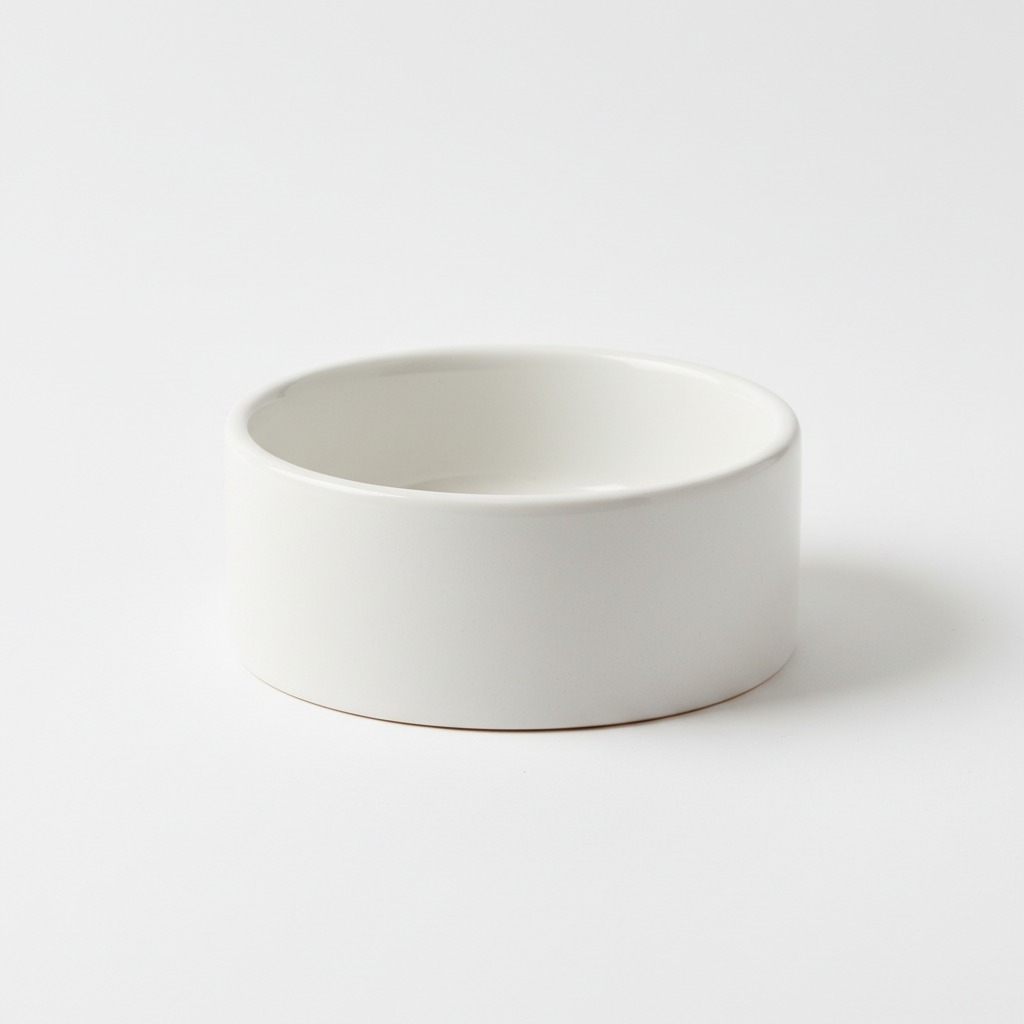 Modern Ceramic Bowl