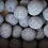 Thumbnail: Pitz Balls