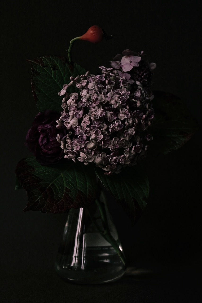 La série Bouquets de Marie-Jeanne est retenue par Line Lavesque pour l'exposition d'octobre 2013 à Arles (galerie Comptoirs Arlésiens de la jeune photographie).