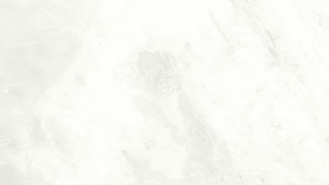 White Background_edited.jpg