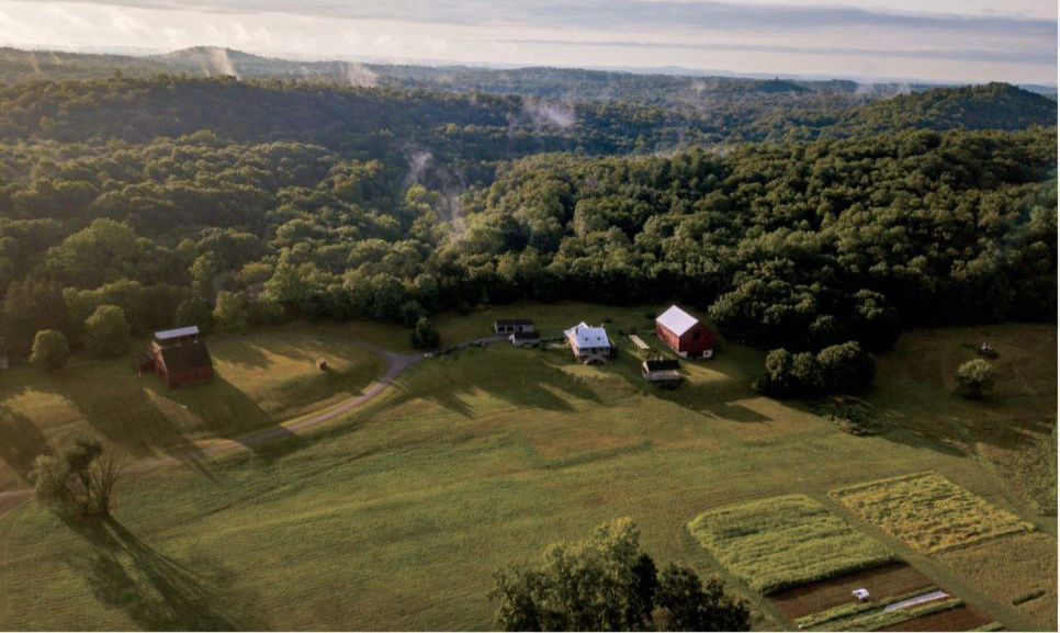 Six Senses Hudson Valley aerial forest