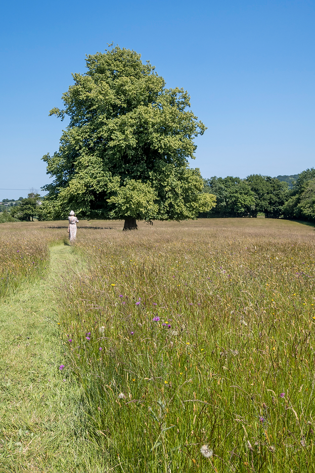 goren farm 19.06_edited.png