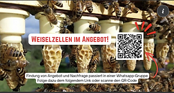 2230 Gänserndorf, Österreich