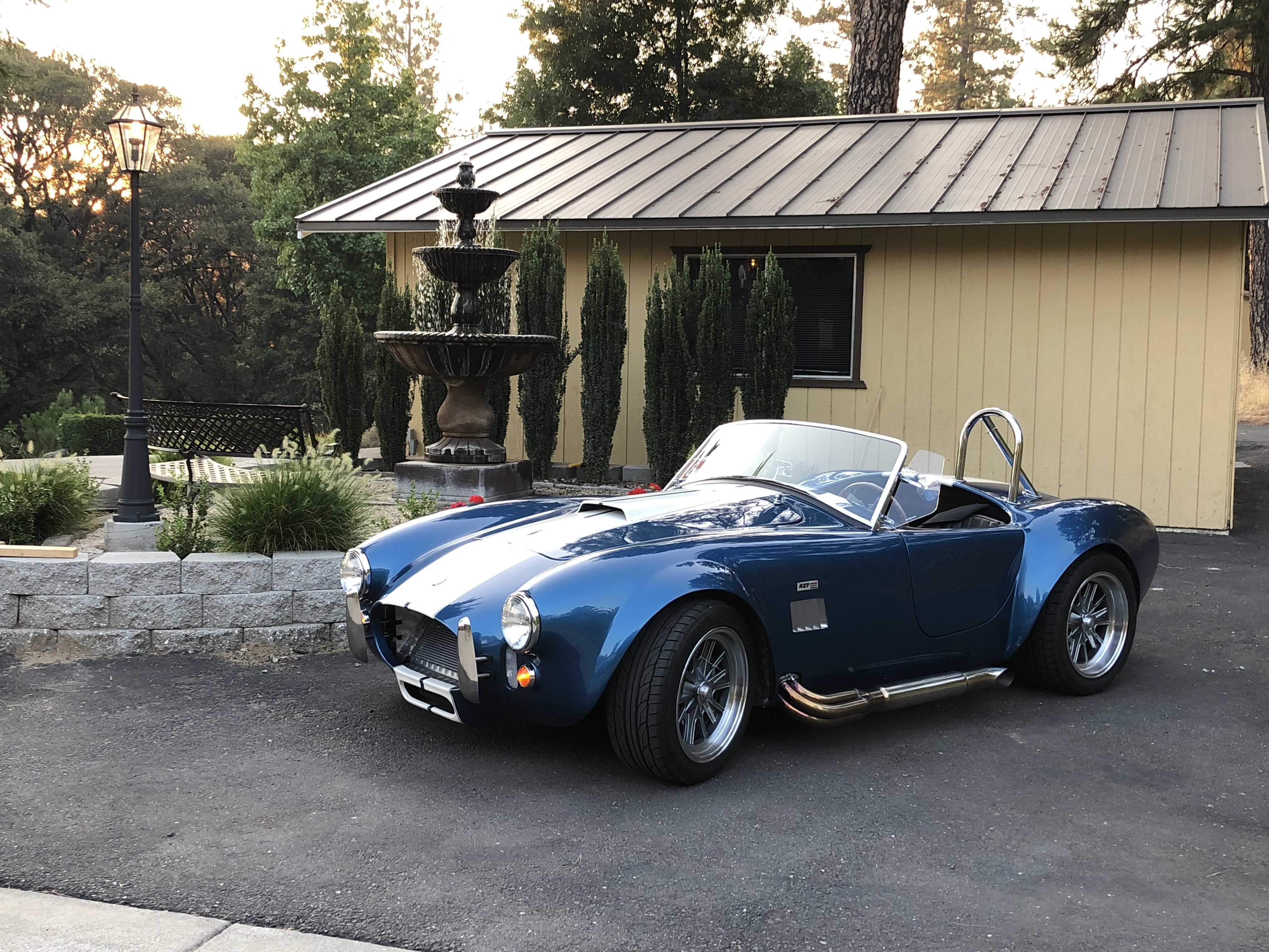 Another cool Cobra