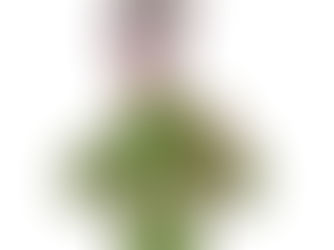 背中の痛みで動けなくなった高齢男性のイメージイラスト（肋間神経痛）