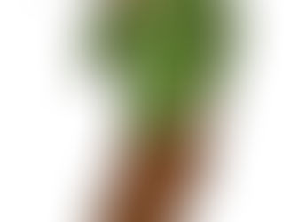 首のコリと動悸の関連をイメージしたイラスト