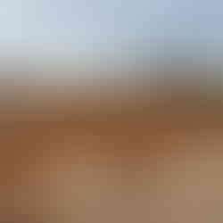 lots to build in Alabama