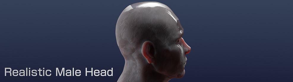 Head Banner.jpg