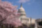 RISE from Trauma Act