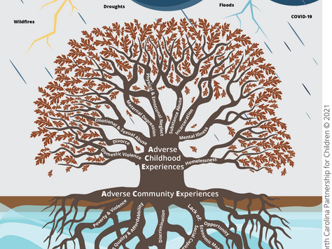 How Trauma Negatively Impacts