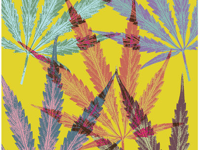 Cannabis Industry, Pull Up a Chair: A Message from CaCOA's Executive Director