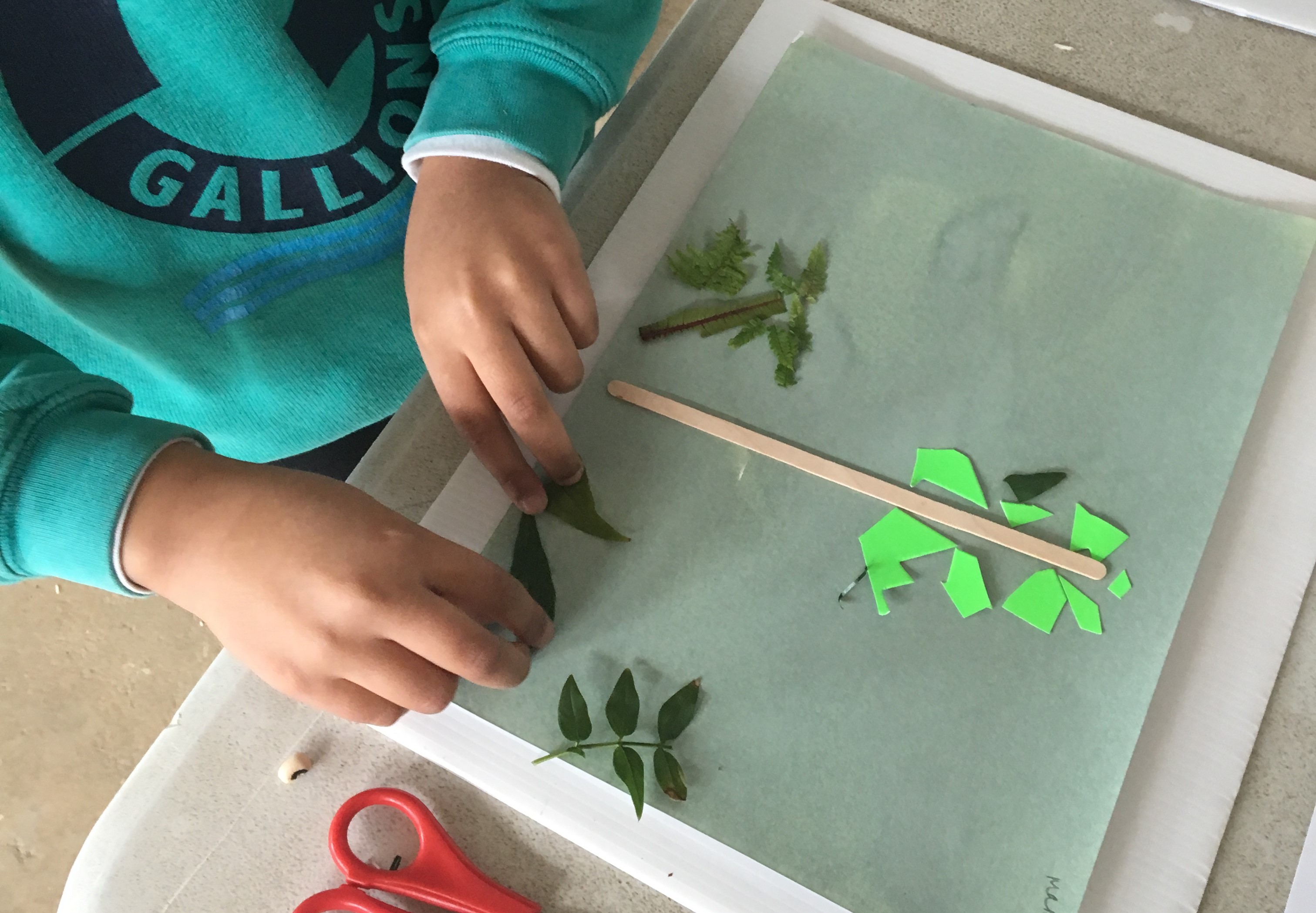 RAW Labs, Gallions Primary, 2018