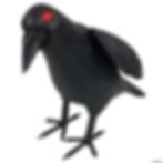 Thumbnail: Black Raven Halloween Decoration